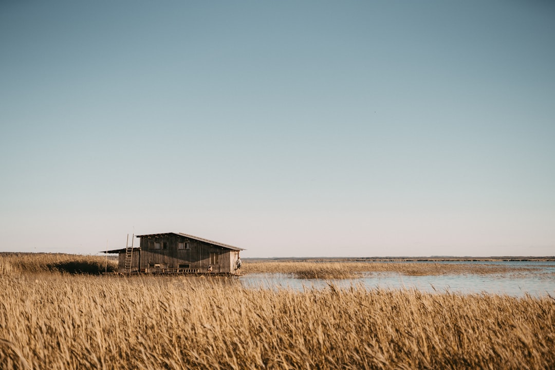 Cottage stijl interieur: wonen met rust, warmte en aandacht voor jezelf